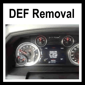 Adblue Removal